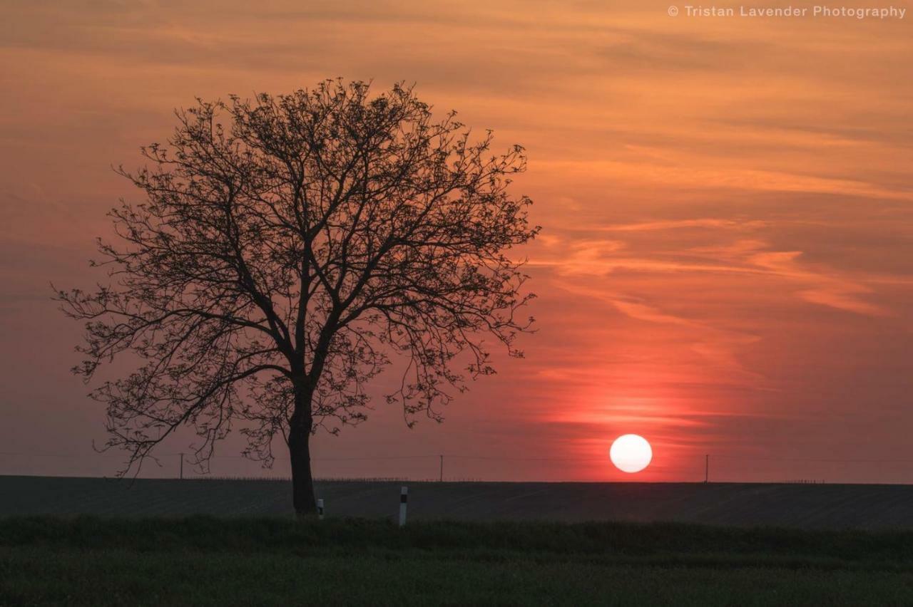 Moravske Toskansko Stavesice Zewnętrze zdjęcie