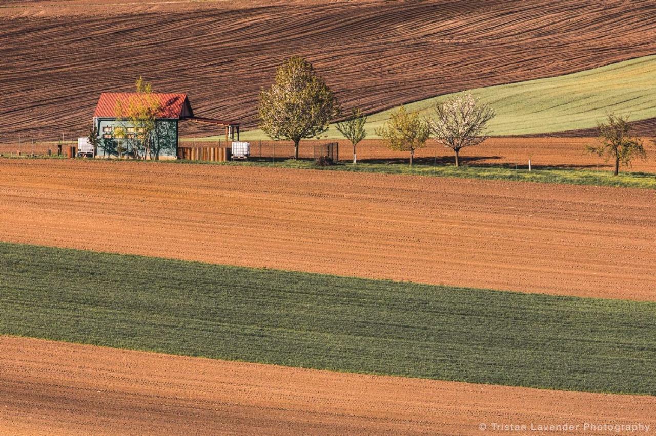 Moravske Toskansko Stavesice Zewnętrze zdjęcie