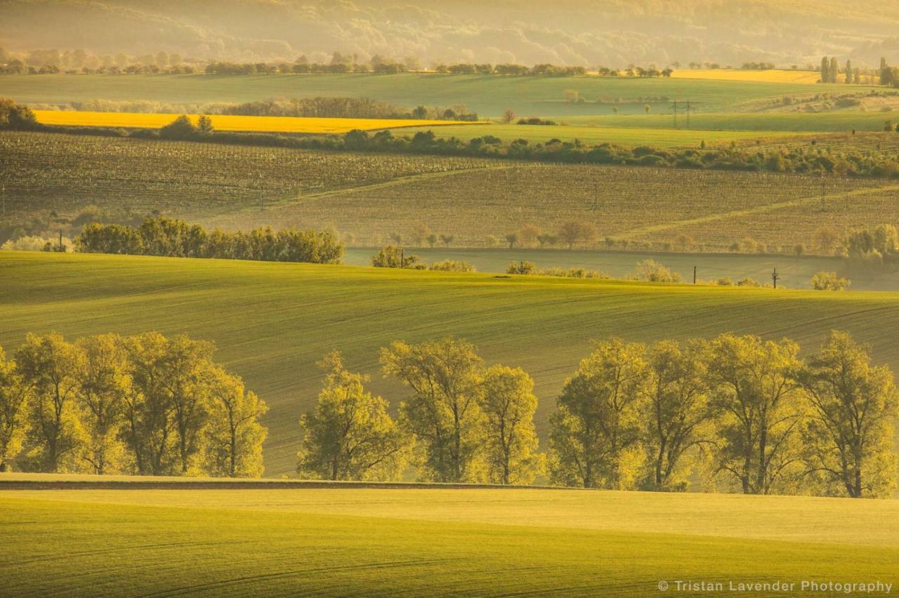 Moravske Toskansko Stavesice Zewnętrze zdjęcie