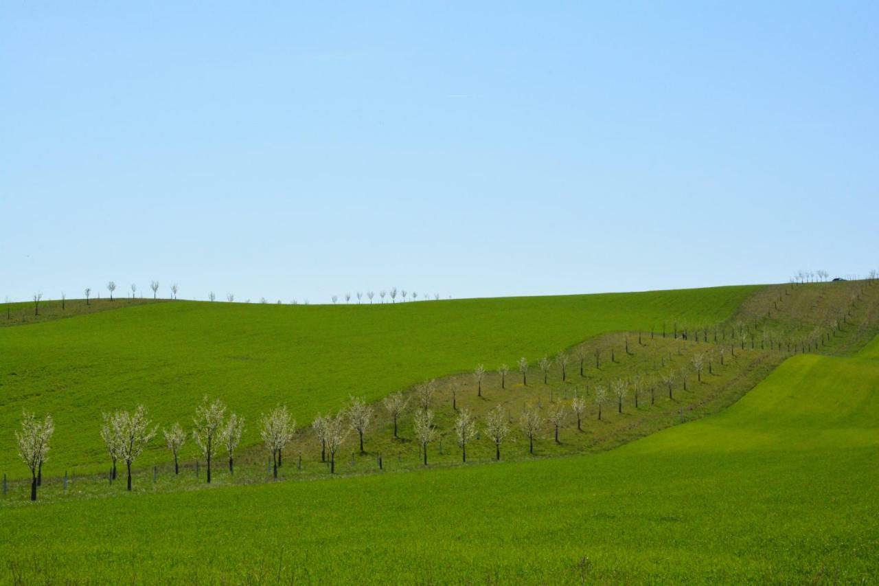 Moravske Toskansko Stavesice Zewnętrze zdjęcie